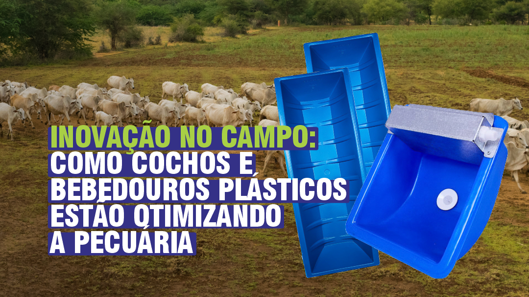 INOVAÇÃO NO CAMPO: COMO COCHOS E BEBEDOUROS PLÁSTICOS ESTÃO OTIMIZANDO A PECUÁRIA